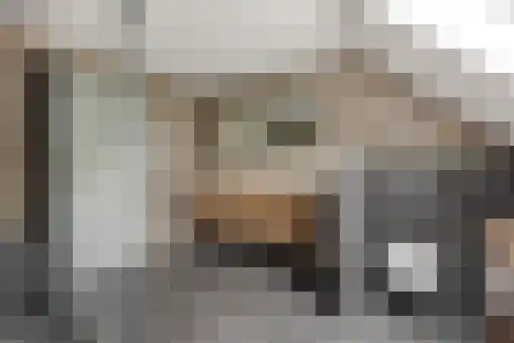 Baarschotseweg 6 Vlierden thumbnail 4