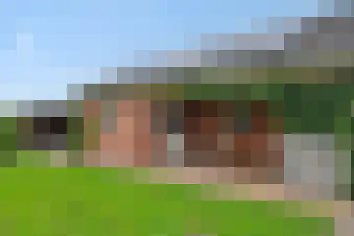 Baarschotseweg 6 Vlierden thumbnail 40