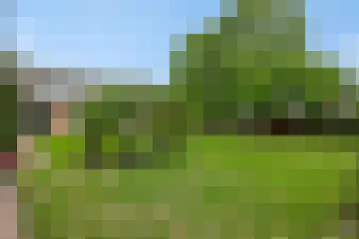 Baarschotseweg 6 Vlierden thumbnail 41