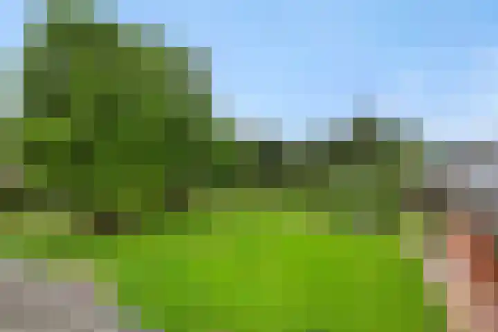 Baarschotseweg 6 Vlierden thumbnail 43
