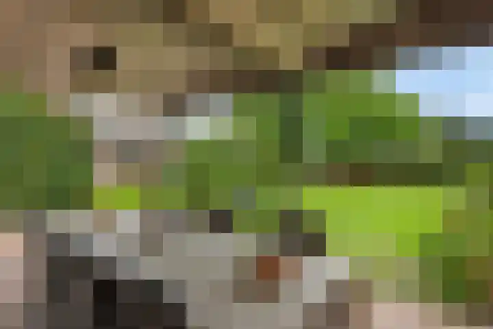 Baarschotseweg 6 Vlierden thumbnail 5