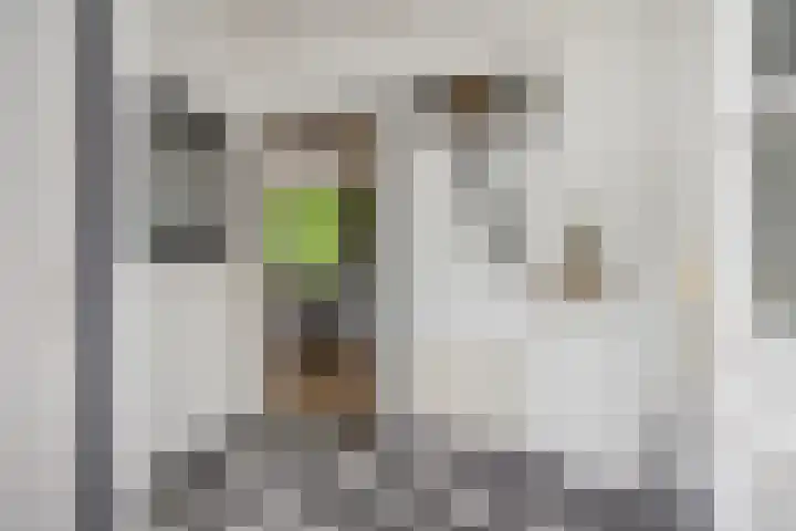 Baarschotseweg 6 Vlierden thumbnail 9