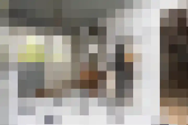 Baarsdorpermeer 11 Zuidermeer thumbnail 19