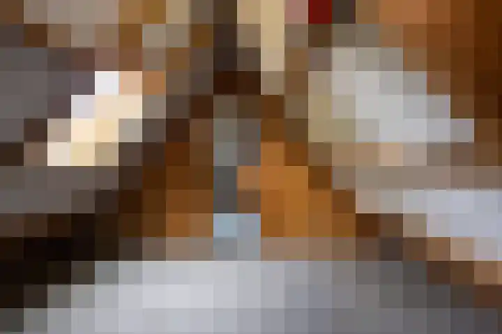 Baarsdorpermeer 11 Zuidermeer thumbnail 24