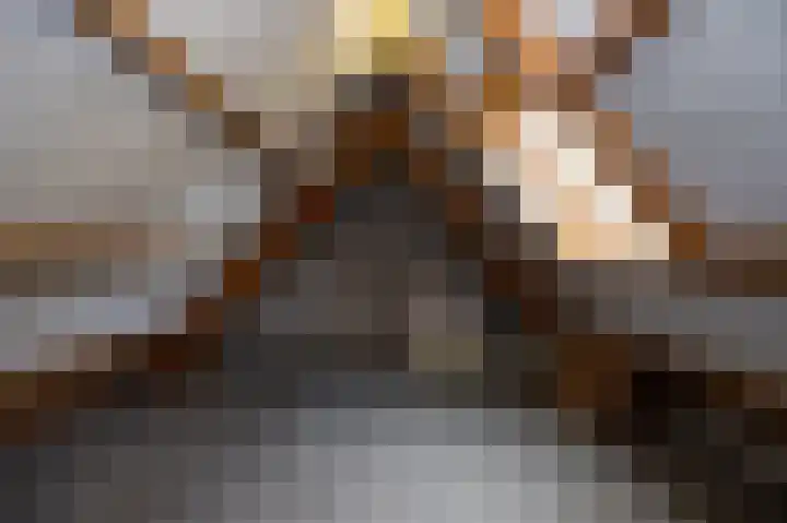 Baarsdorpermeer 11 Zuidermeer thumbnail 26
