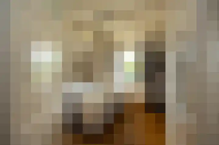 Baarsdorpermeer 11 Zuidermeer thumbnail 30