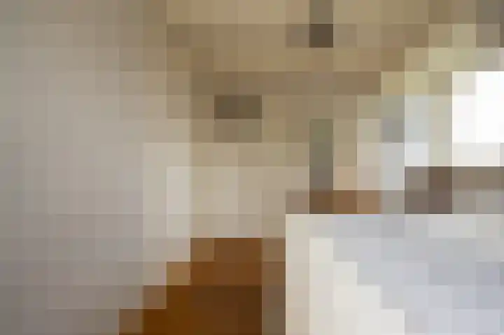 Baarsdorpermeer 11 Zuidermeer thumbnail 32