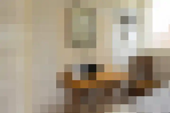 Baarsdorpermeer 11 Zuidermeer thumbnail 33
