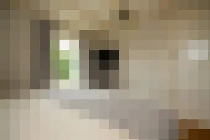 Baarsdorpermeer 11 Zuidermeer thumbnail 34