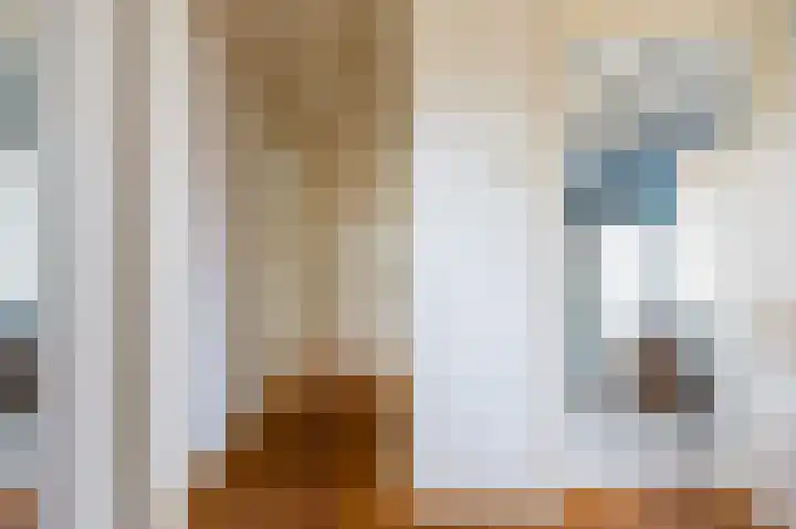 Baarsdorpermeer 11 Zuidermeer thumbnail 37