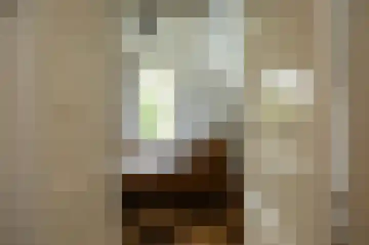 Baarsdorpermeer 11 Zuidermeer thumbnail 38