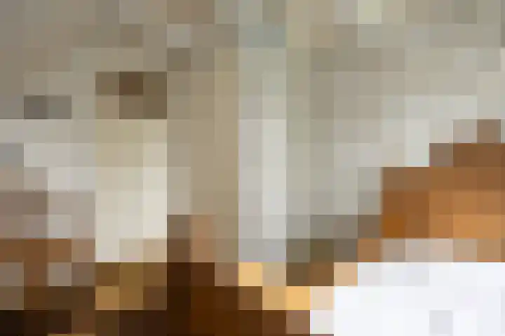 Baarsdorpermeer 11 Zuidermeer thumbnail 39