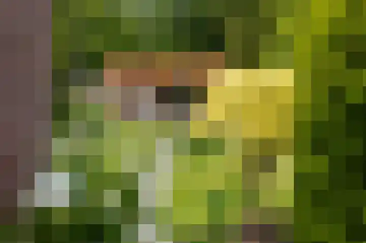 Baarsdorpermeer 11 Zuidermeer thumbnail 41
