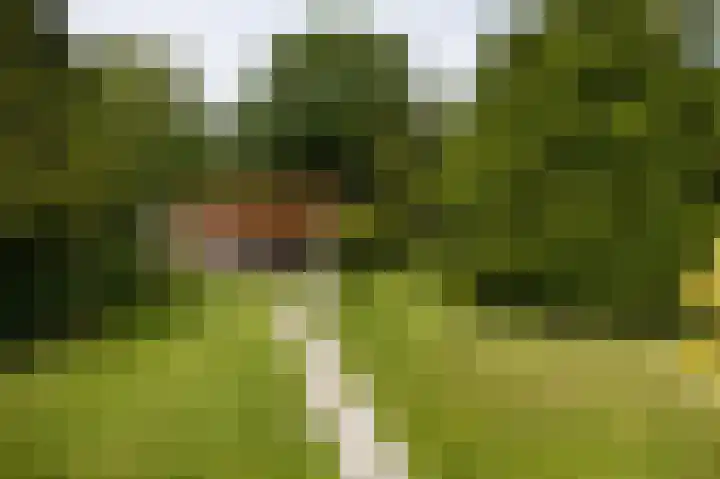 Baarsdorpermeer 11 Zuidermeer thumbnail 42