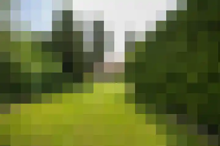 Baarsdorpermeer 11 Zuidermeer thumbnail 45