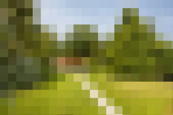 Baarsdorpermeer 11 Zuidermeer thumbnail 46