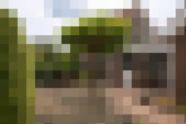 Baarsdorpermeer 11 Zuidermeer thumbnail 50