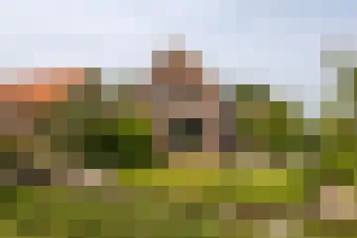 Baarsdorpermeer 11 Zuidermeer thumbnail 51