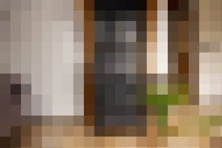 Baarsdorpermeer 11 Zuidermeer thumbnail 6