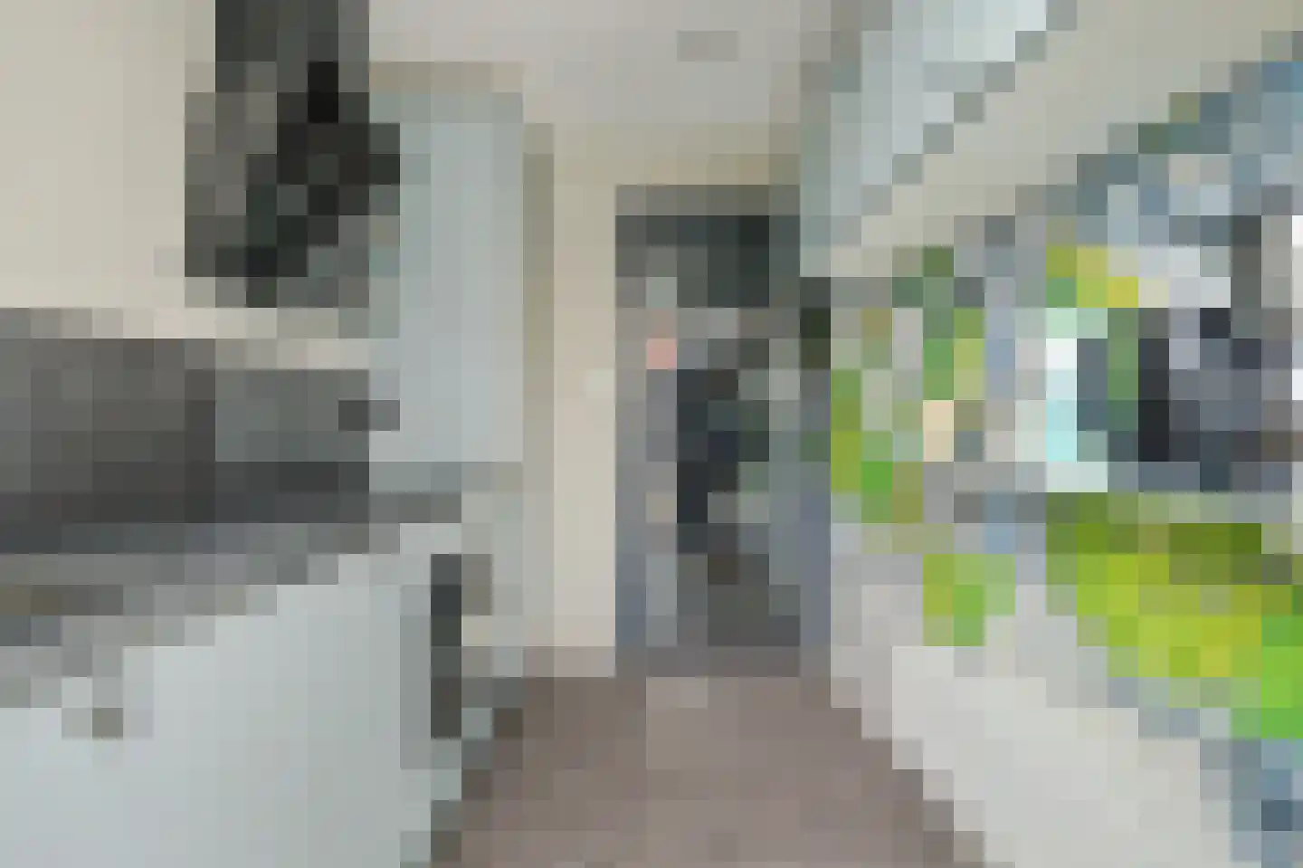 Baarsjesstraat 46 Middelburg thumbnail 11