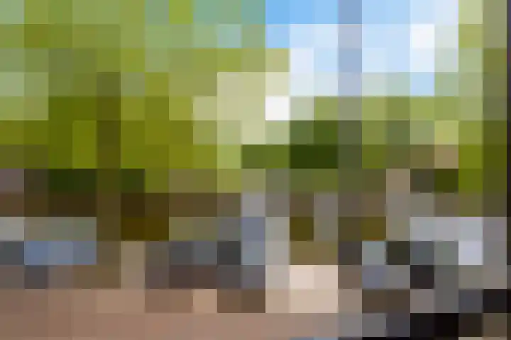 Baarsjesweg 133 D Amsterdam thumbnail 17