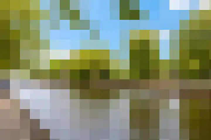 Baarsjesweg 133 D Amsterdam thumbnail 36