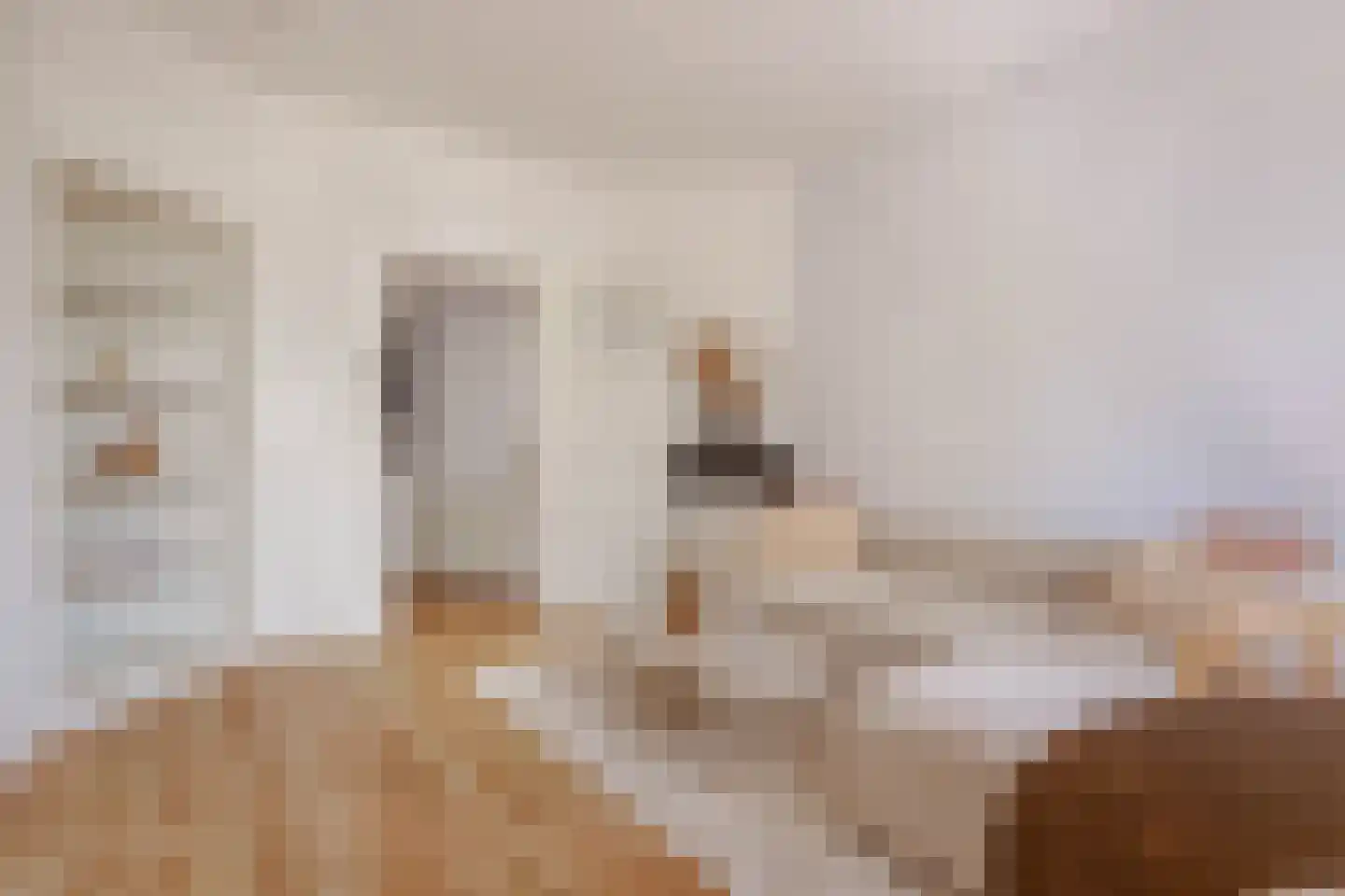 Baarsjesweg 135 2 Amsterdam thumbnail 7