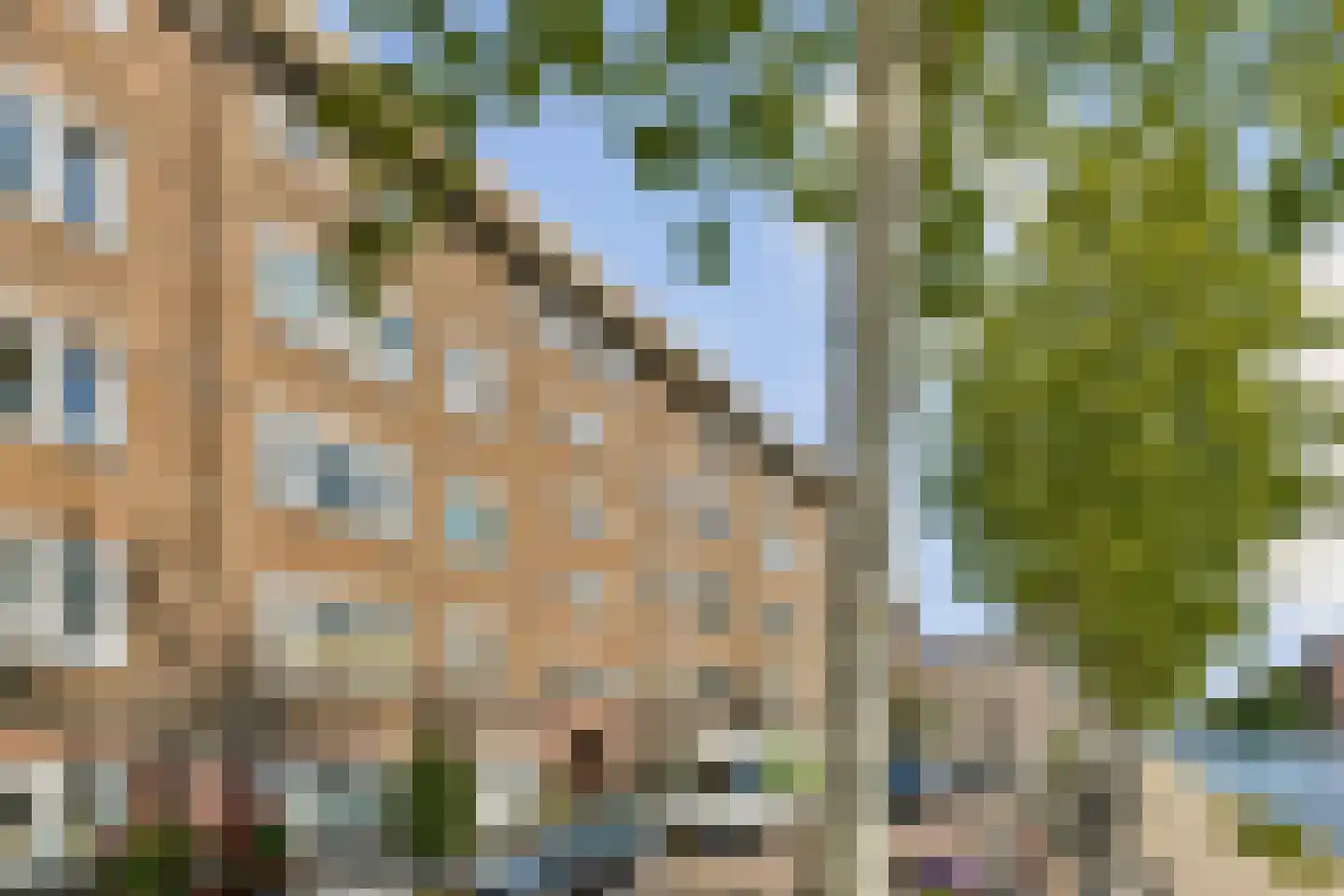 Baarsjesweg 176 2 Amsterdam thumbnail 20