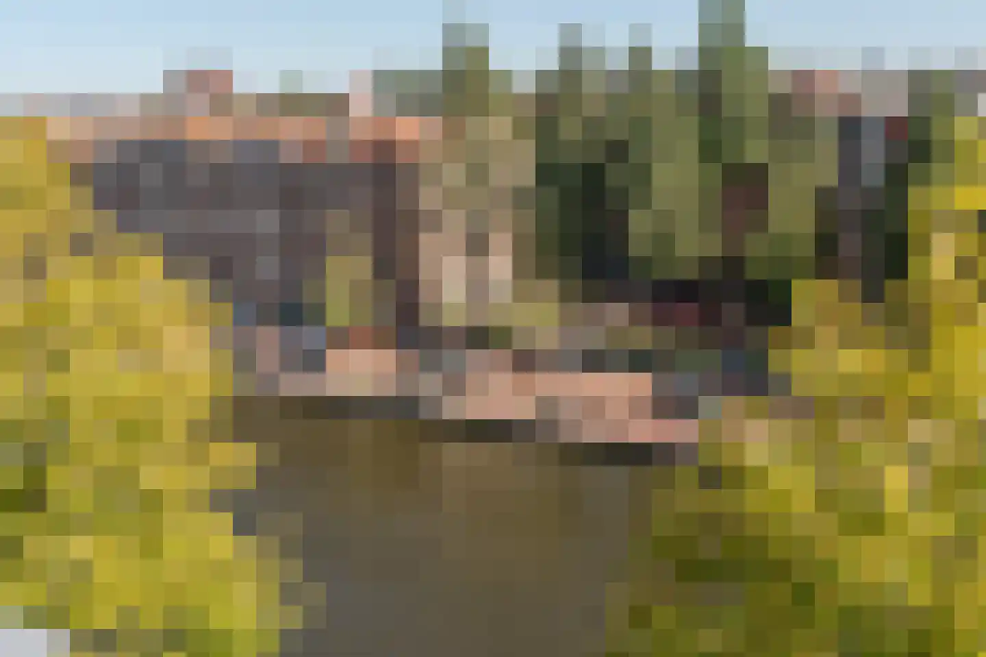 Baarsjesweg 197 C Amsterdam thumbnail 21