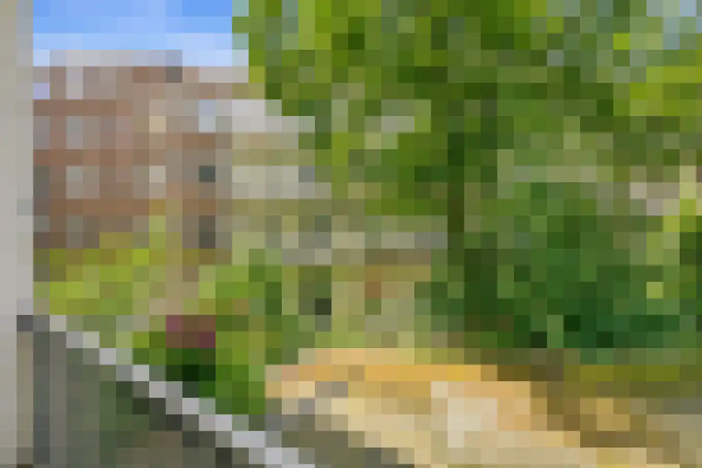 Baarsjesweg 232 1 Amsterdam thumbnail 17