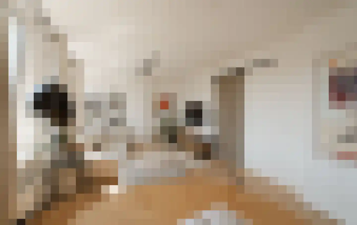 Baarsjesweg 237 H Amsterdam thumbnail 4