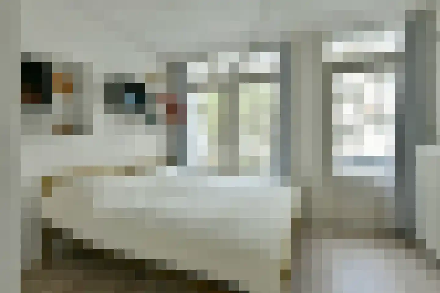 Baarsjesweg 245 1 Amsterdam thumbnail 17