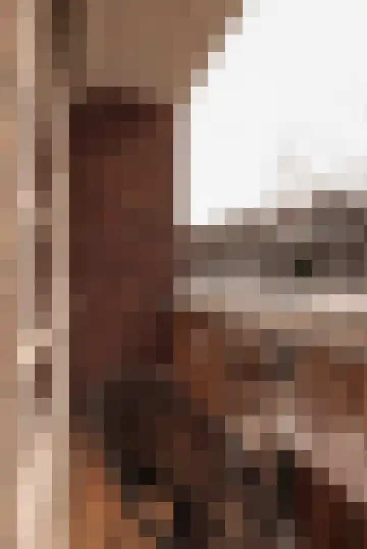 Baarsjesweg 247 H Amsterdam thumbnail 23