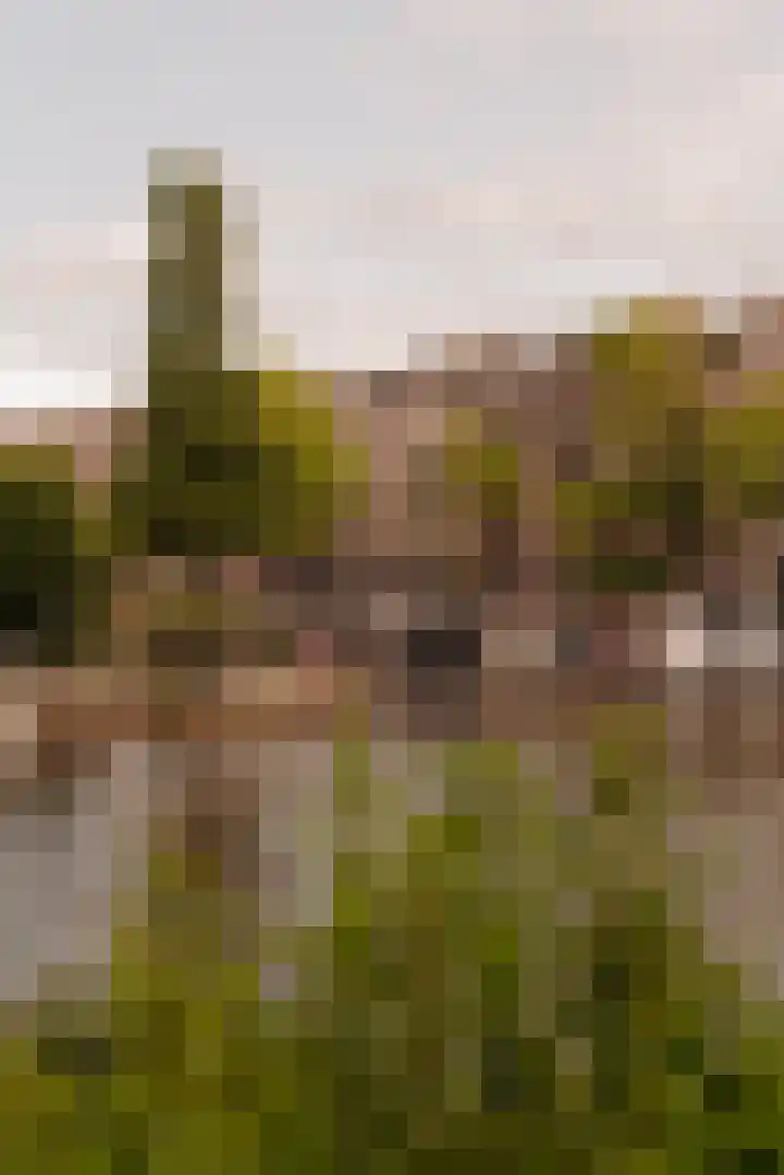 Baarsjesweg 247 H Amsterdam thumbnail 5