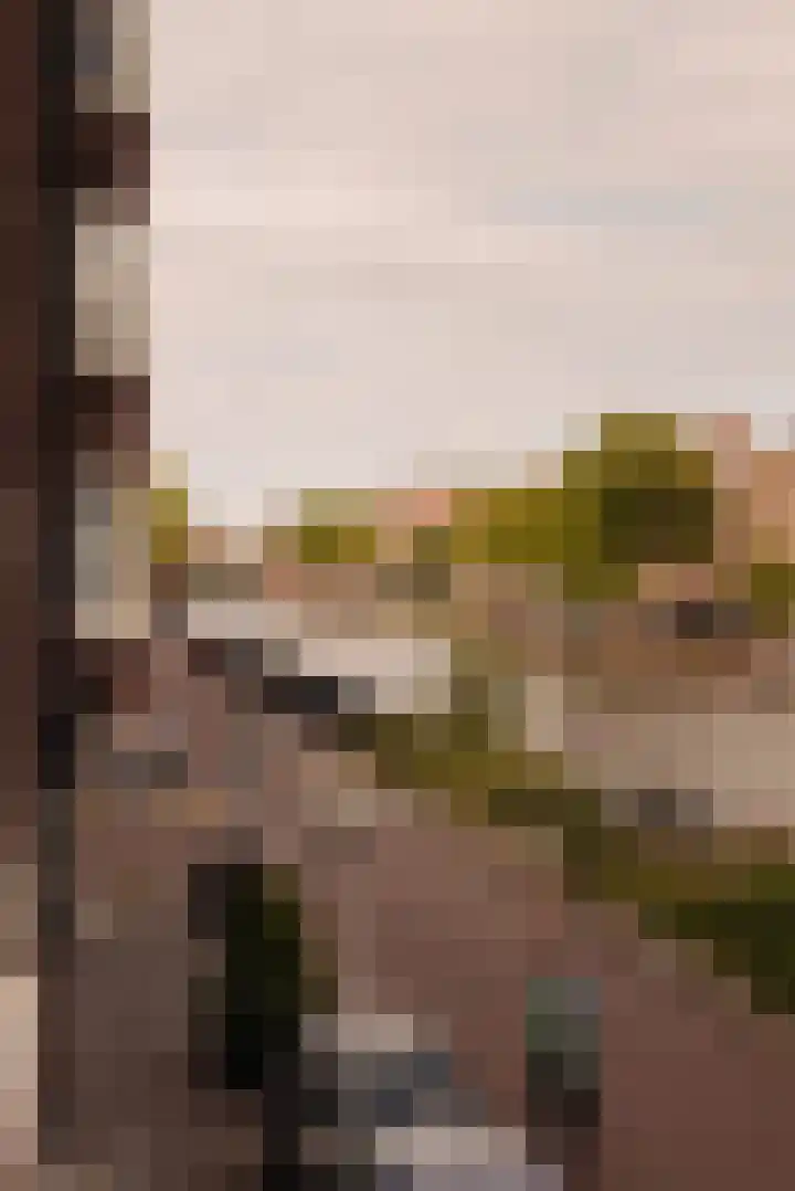 Baarsjesweg 247 H Amsterdam thumbnail 9