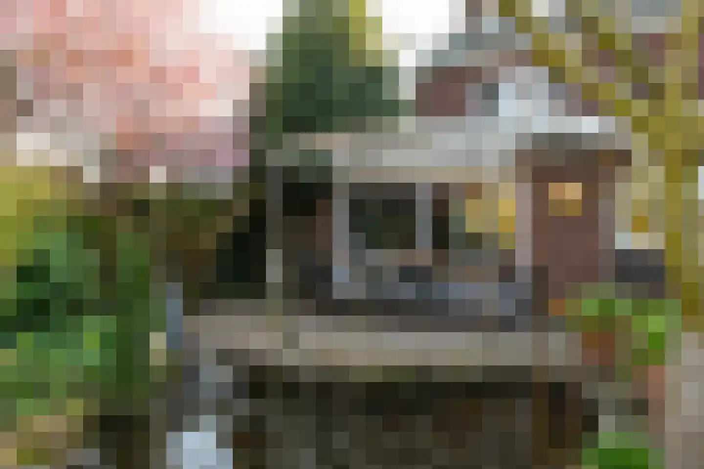 Baarskampstraat 38 Kessel thumbnail 37