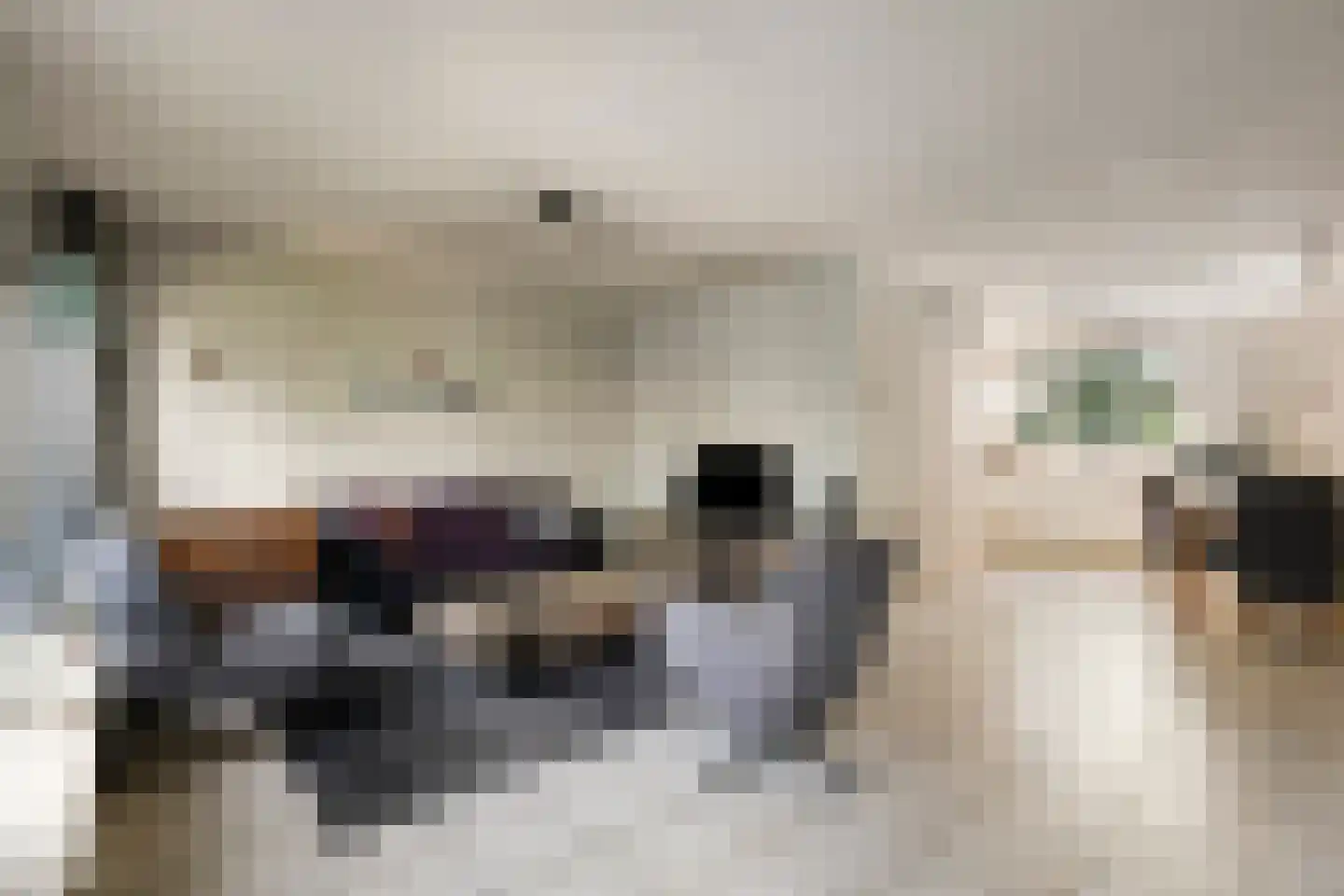 Baarskolk 14 Zwolle thumbnail 10