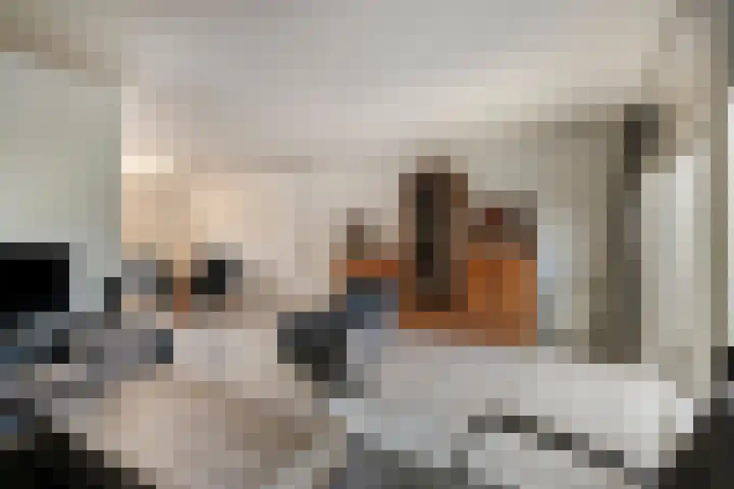 Baarskolk 14 Zwolle thumbnail 11