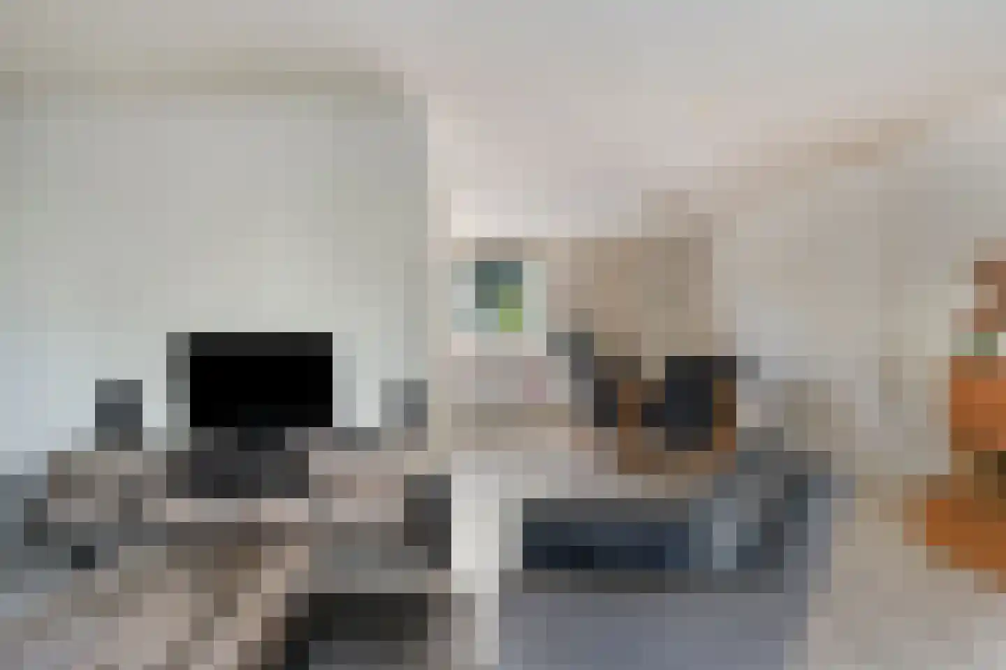 Baarskolk 14 Zwolle thumbnail 12