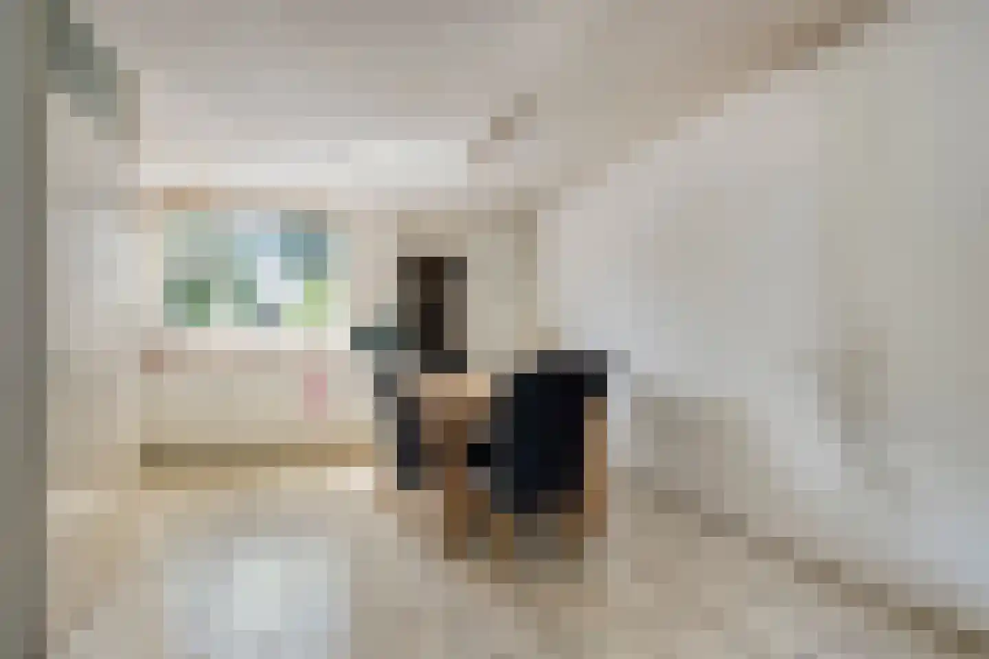 Baarskolk 14 Zwolle thumbnail 13