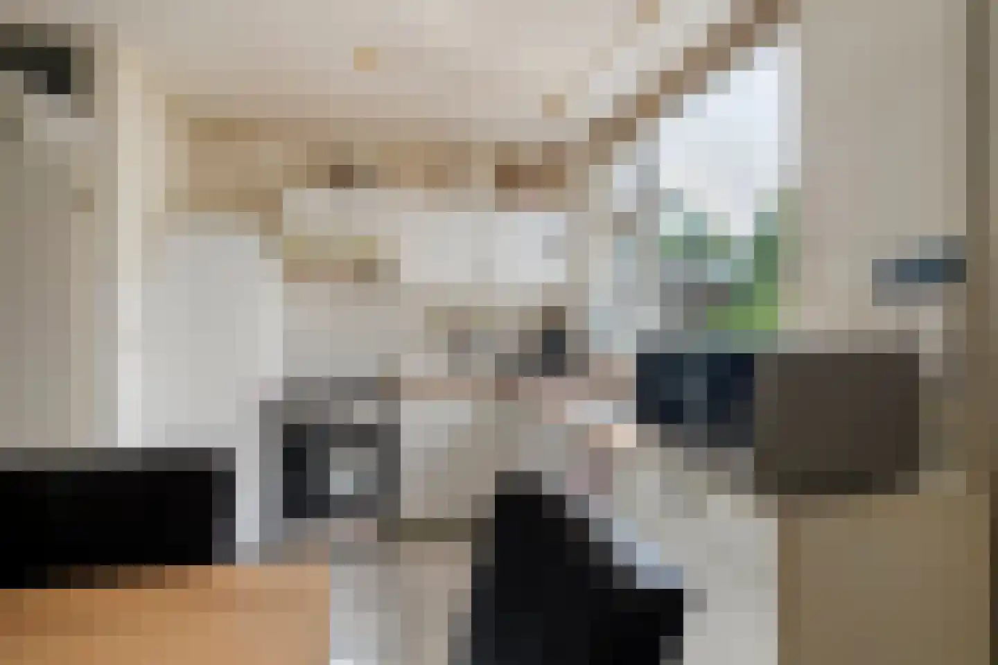 Baarskolk 14 Zwolle thumbnail 15