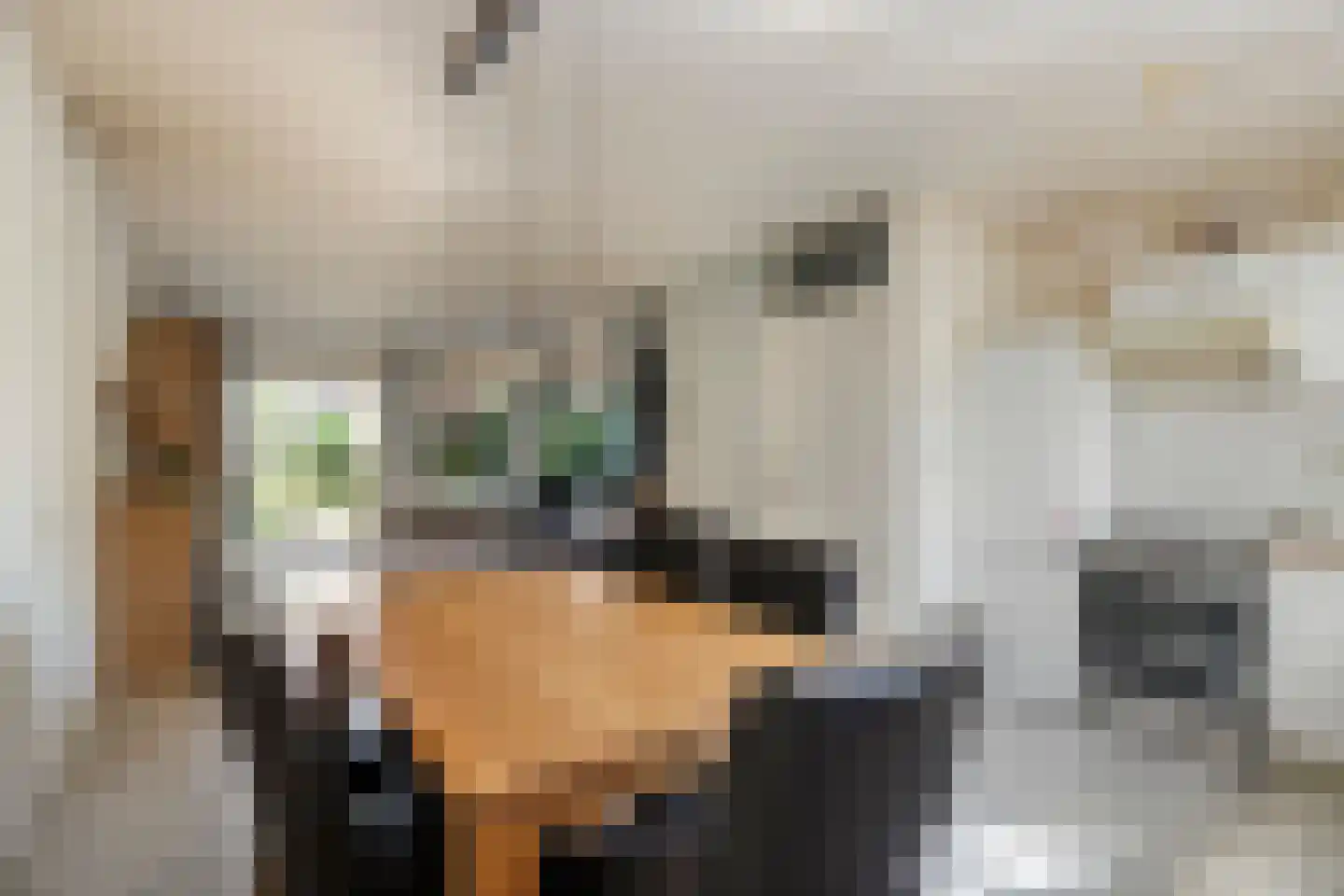 Baarskolk 14 Zwolle thumbnail 16