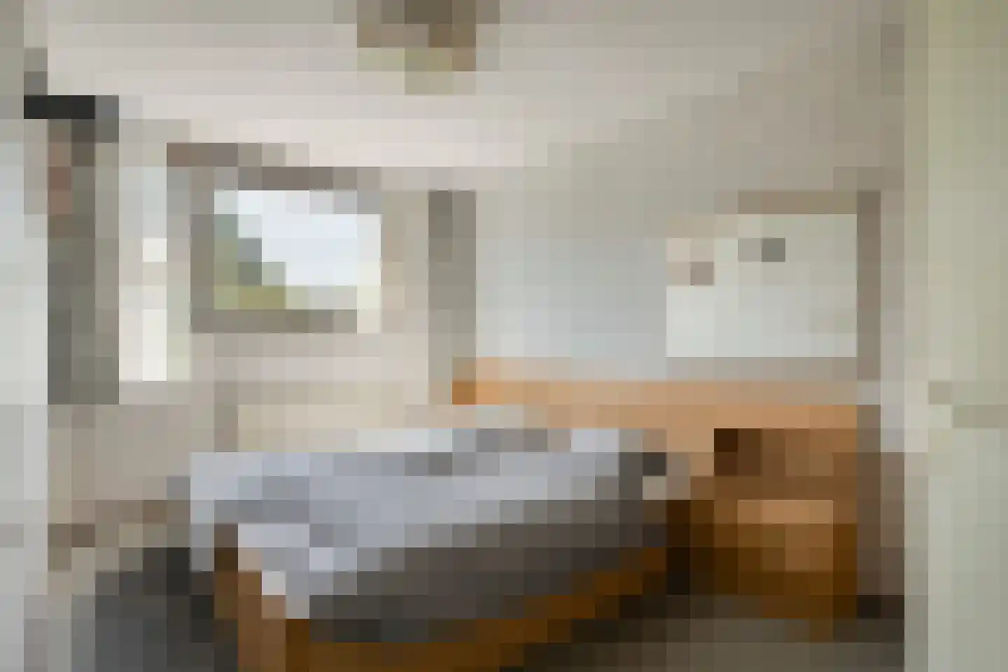 Baarskolk 14 Zwolle thumbnail 18