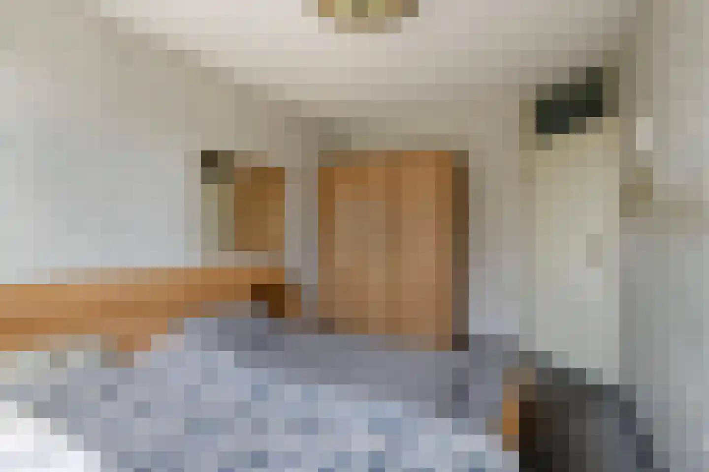 Baarskolk 14 Zwolle thumbnail 19