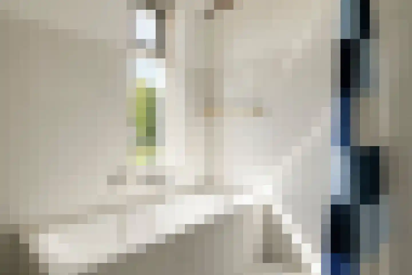 Baarskolk 14 Zwolle thumbnail 23