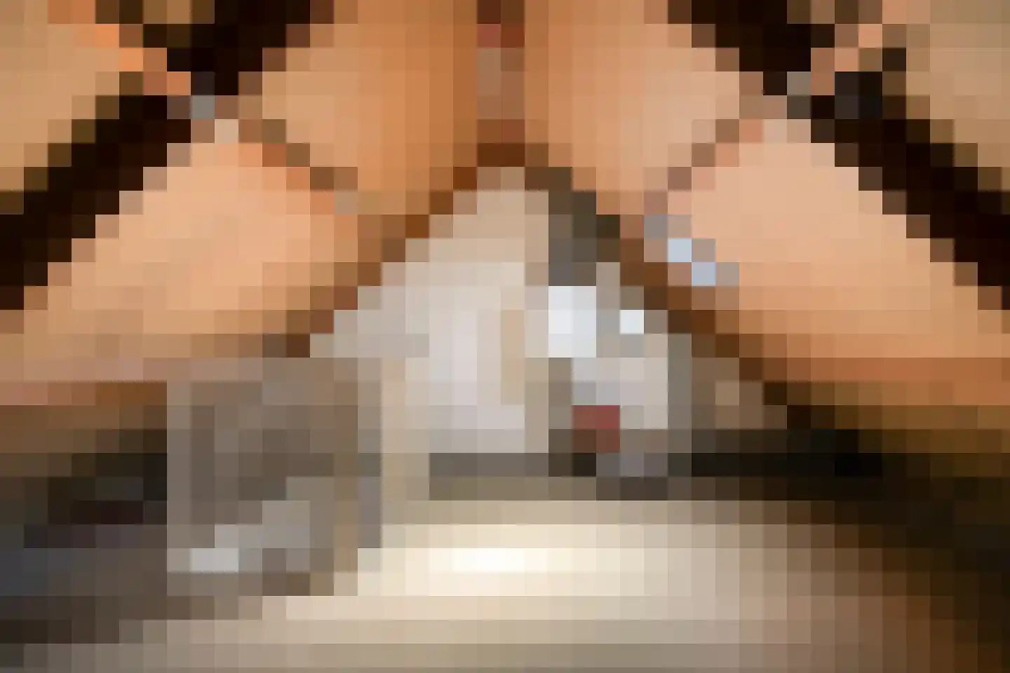 Baarskolk 14 Zwolle thumbnail 27
