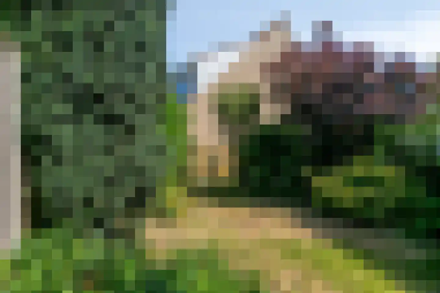 Baarskolk 14 Zwolle thumbnail 30