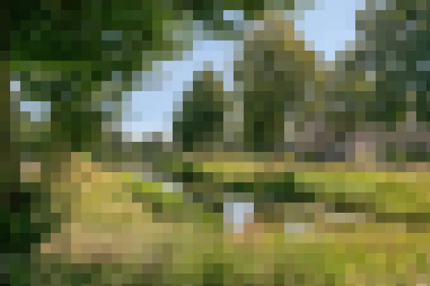 Baarskolk 14 Zwolle thumbnail 5