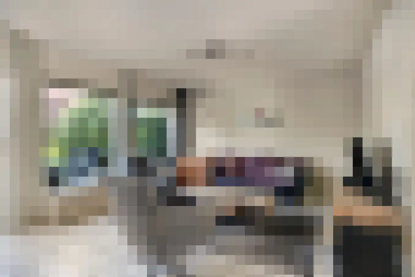 Baarskolk 14 Zwolle thumbnail 9