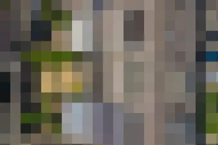 Baarslaan 104 Voorhout thumbnail 39